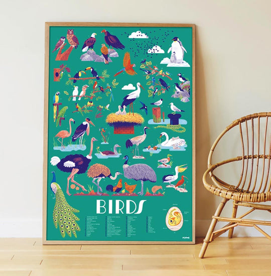 Idee cadeau anniversaire enfant : poster pedagogique et stickers oiseaux