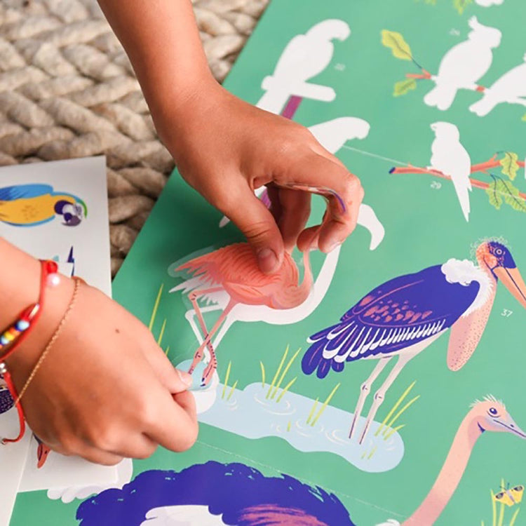 Póster y pegatinas con temática de pájaros para pasatiempos creativos de los niños.