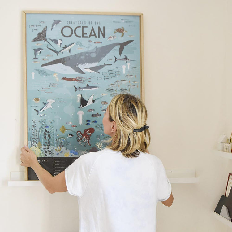 Cadeau enfant animaux marins : poster océans Poppik